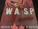 W.A.S.P. 
