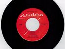 TRAVELERS Why/Teen Age Machine Age DOO-WOP 1958 DJ PROMO Andex rare HEAR