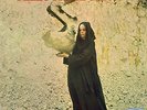 FLEETWOOD MAC - THE PIOUS BIRD OF GOOD OMEN - VINYL LP - NEW