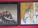 Robert Fripp Let The Power Fall/King Crimson The Young Persons DBL  (EX) 2 LP