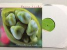 Extraordinary Machine by Fiona Apple Dbl LP (2005, Epic USA) ORIGINAL 1ST PRESS