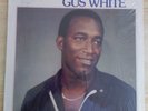 LP GUS WHITE the time is just right US BOOGIE REGGAE this timeit's for real