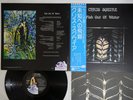 CHRIS SQUIRE FISH OUT OF WATER ATLANTIC P-10068A Japan OBI Vinyl LP