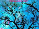 AMON DÜÜL II / PHALLUS DEI * NEW VINYL LP * NEU *