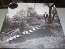 Timber Timbre - S/T - limited (500 ) colored LP Vinyl // Neu & OVP // RE-PRESS