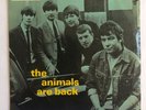 The Animals Are Back