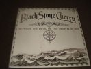 BLACK STONE CHERRY - BETWEEN THE DEVIL & THE DEEP BLUE SEA, VINYL LP, EX / EX