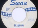 BEATLES She Loves You, Early '64 Rarer Blue Print Label, (SWAN 4152.04C, Spizer)