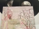 Margot and the Nuclear So and Sos-Not Animal LP(2008 vinyl, rare)