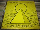 RARE David Wertman LP Sun Ensemble Earthly Delights PSYCH ACID FREE Jazz PRIVATE