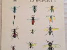 SYD BARRETT * BARRETT * UK PRESS * A1/B1 * US SELLER