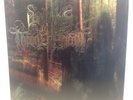 WOLVES IN THE THRONE ROOM / MALEVOLENT GRAIN - BLACK METAL GREEN VINYL RECORD LP