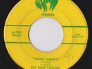 RARE ROCKABILLY 45 BIG JOHN TAYLOR & BENNY JOY-MONEY MONEY/ITTIE BITTIE RAM hear