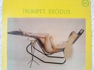 SEXY NUDE COVER & CHEESECAKE   DON GOLDIE / Trumpet Exodus   PS-8024