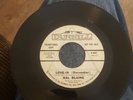 Rare 45 Hal Blaine