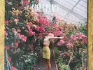 Wolf Alice ?– Giant Peach RARE 7