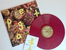PWR BTTM—Pageant—180g Maroon Vinyl LP Record w/signed postcard—Waxahatchee