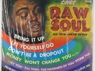 James Brown - Sings Raw Soul LP - King