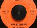 THE GOLDEN NUGGETS Surf Everybody/Everybody Bird RARE R&B ROCKER HAWK 45 HEAR