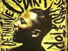 Ol' dirty bastard - The Definitive Story ODB Wu-Tang Clan 12