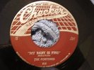 FORTUNES My Baby Is Fine / Believe In Me Doo Wop Rock R&B 45 Checker Orig. VG+