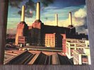 Pink Floyd 