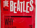BEATLES w/Tony Sheridan MGM Why/Cry for Shadow 45 (NM) & Red Picture Sleeve (VG)