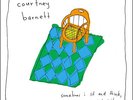 Courtney Barnett Sometimes I Sit & Think...LP vinyl record sealed angel olsen