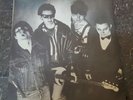The damned new rose