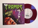 THE CRAMPS - WHAT'S INSIDE A GIRL 7