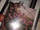Wolf Alice Giant Peach Rare 7