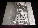 WHITE BOY and THE AVERAGE RAT BAND LP Tradewind MM11761 SEALED Mint Vinyl
