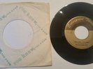 Rare 45 Garage Record The Sultans Five Enterprise Thirteen VG+ RACINE WI