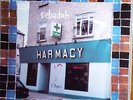 Sebadoh 