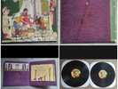 ANIMAL COLLECTIVE Feels 2x LP Vinyl Record 12
