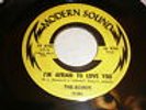 The Echos 45 I'm Afraid To Love You MODERN SOUND