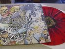 Pig Destroyer - Phantom Limb - LP COLOURED Vinyl