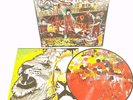 Yeah Yeah Yeahs Fever To Tell RARE Vinyl LP Picture Disc Album 2003 Play Tested