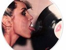 Blondie - Parallel Lines (Limited Edition U.S. Picture Disc Vinyl LP)