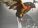 BUDGIE - IN FOR THE KILL - DE 74 - 1st PRESS