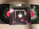 Thee Oh Sees - A Weird Exits // MURKY WEB LP // ty segall fuzz wand
