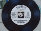 The Sunsets 45 My Little Surfin' Woodie 1963 Challenge Gary Usher Surf VG