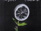 The Districts-A Flourish and a Spoil  Vinyl / 12