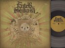 ENTER SHIKARI take to the skies (limited clear vinyl) DOUBLE LP EX+/EX+ hardcore