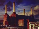 Animals - Pink Floyd 190295996963 (Vinyl Used Very Good)