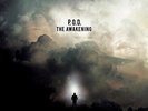 P.O.D. - THE AWAKENING (LTD. BACK TO BLACK VINYL LP) NEU&OVP  2015