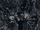 Dodsengel - Interequinox DLP