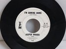 Jasper Woods Hully Gully Papa / I'm coming home Super Rare Northern Soul 45