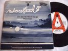 MEDICINE HEAD   (AND THE) PICTURES IN THE SKY ** 1971 DANDELION 45 PROMO