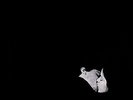 Days Gone By [VINYL] Bob Moses Vinyl
